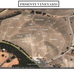 Michael Perlis Paso Robles Zinfandel Festival weekend part 2