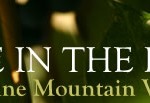 Eve Previews, with Mike's help, Wine in the Pines 2012