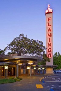 Photo of Flamingo Tower courtesy of Flamingo Conference Resort and Spa 