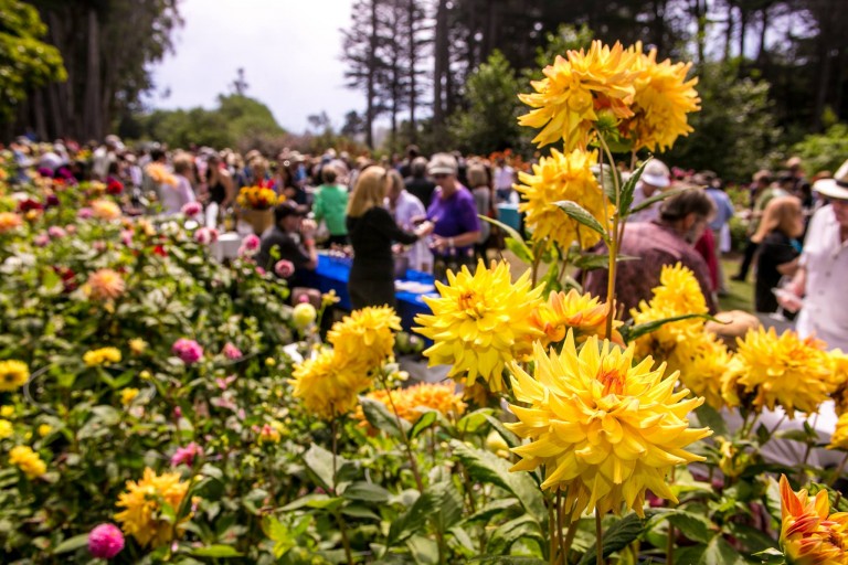 Announcing the Mendocino Coast’s Premier Food & Wine Event – WINESONG