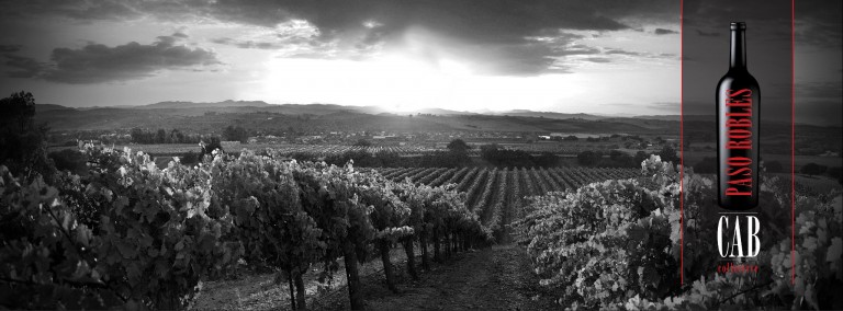Soar, Sip & Savor: Top Wine Country Experiences in Paso Robles