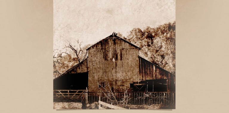 9 Years Later…A Letter From The Farm Winery