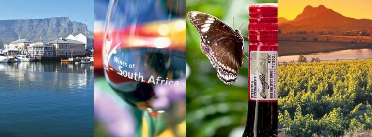 South African Wine Harvest Report 2020: Great Season, Remarkable Wines